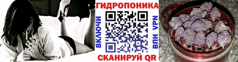 Сколько стоит Курчалой СК  Амфетамин  Кокаин  Меф мяу мяу 