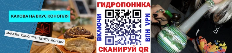 купить наркоту  Курчалой  Cannafood конопля 