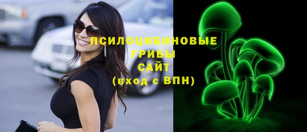 винт Нея