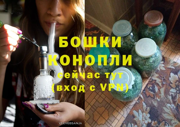 трава Новодвинск