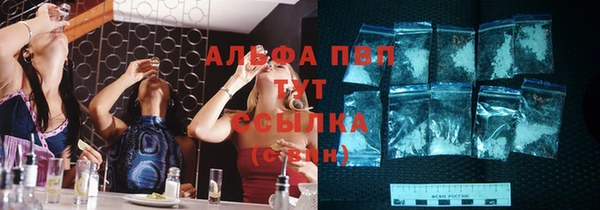 трава Новодвинск
