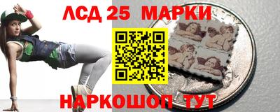 spice Камышлов