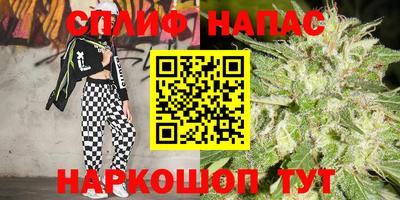 spice Камышлов