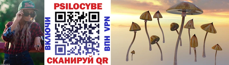 Галлюциногенные грибы Cubensis  hydra ТОР  Курчалой  наркотики 