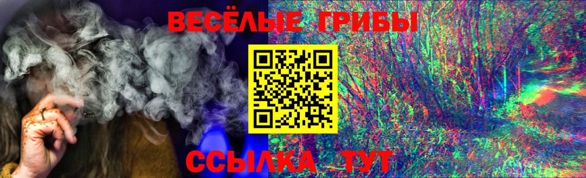 цены наркотик  Вход с VPN  Галлюциногенные грибы ЛСД  Курчалой  Псилоцибиновые грибы GOLDEN TEACHER 