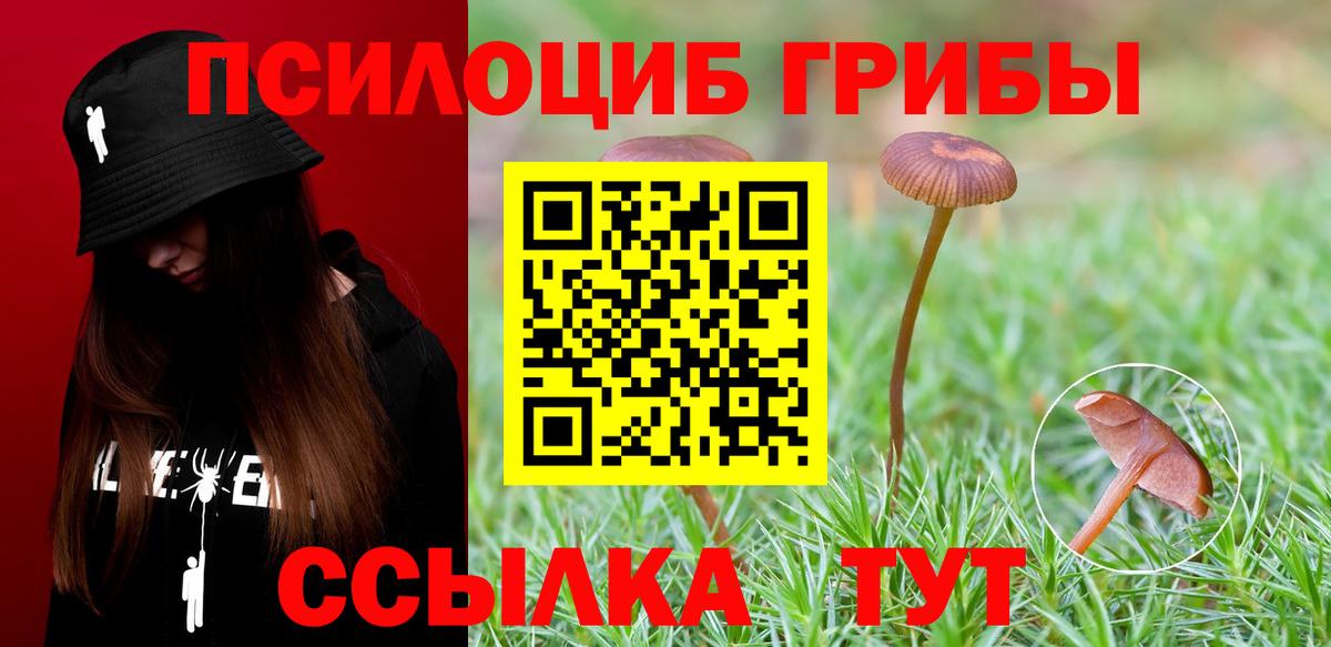 Галлюциногенные грибы прущие грибы Курчалой